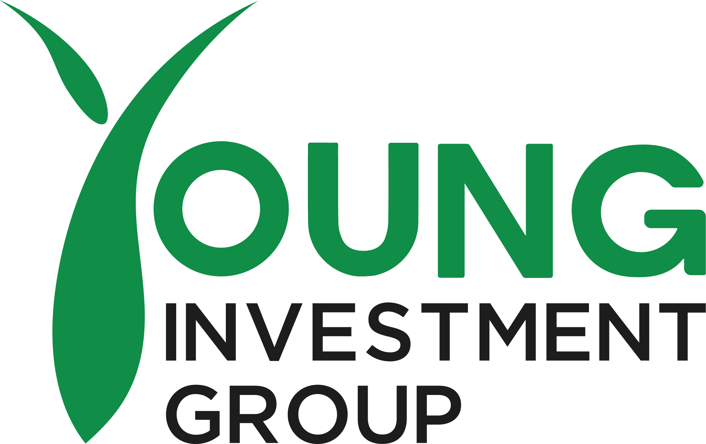 Young Investment Group